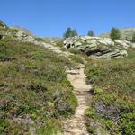 das Strässchen kann über ein Labyrinth von kleinen Wanderwegen abgekürzt werden