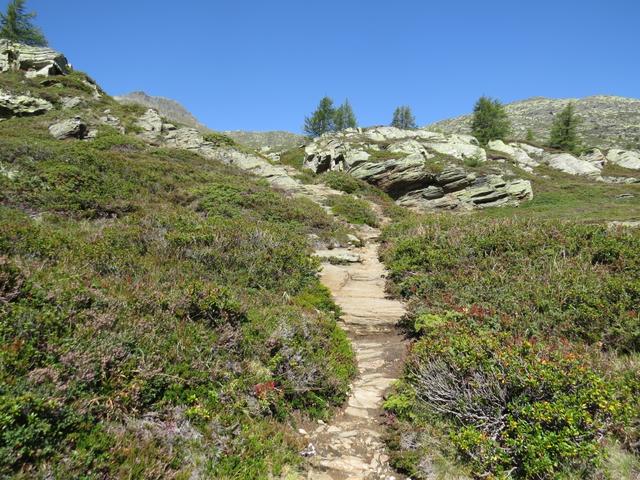 das Strässchen kann über ein Labyrinth von kleinen Wanderwegen abgekürzt werden