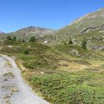 nach einem kurzen Aufstieg erscheint vor uns der Hopschusee und linkerhand die schön gelegene Alpsiedlung Hopsche