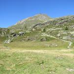 ...steigt nun der angenehme Alpweg den Hang hinauf