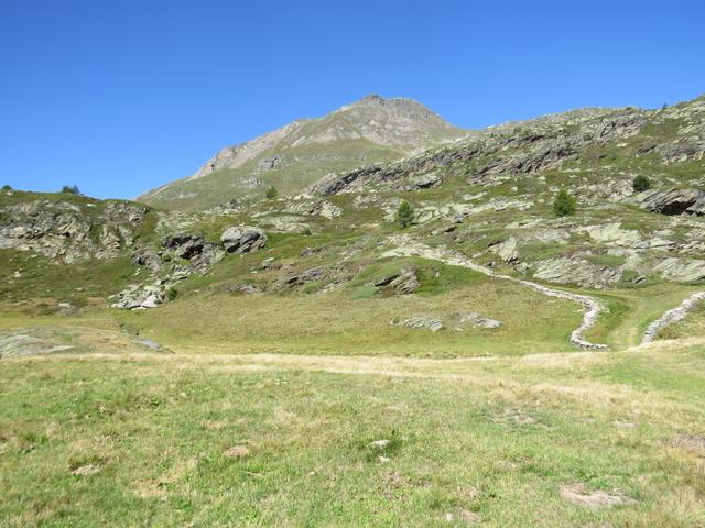 ...steigt nun der angenehme Alpweg den Hang hinauf