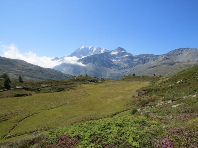 Blick über die Bergalp zum Fletschorn, rechts davon das Böshorn