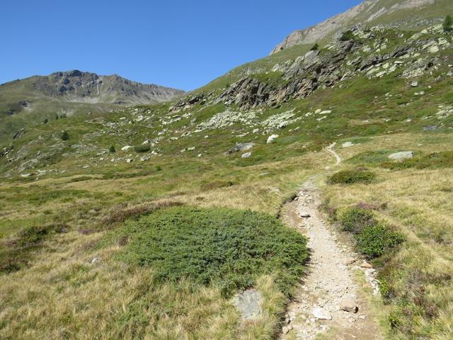 der einfache Wanderweg ist immer gut ersichtlich