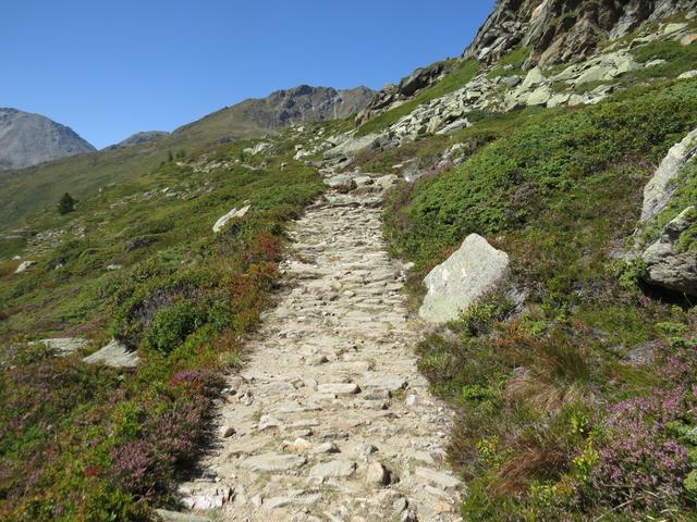 über grasbewachsene Granitfelsen...