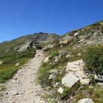 ...erreichen wir eine Weggabelung bei Punkt 2165 m.ü.M.