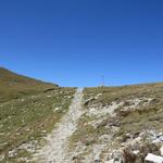 als wir die Üsseri Nanzlicke 2602 m.ü.M. erreichen, empfängt uns ein unglaublich starker Wind