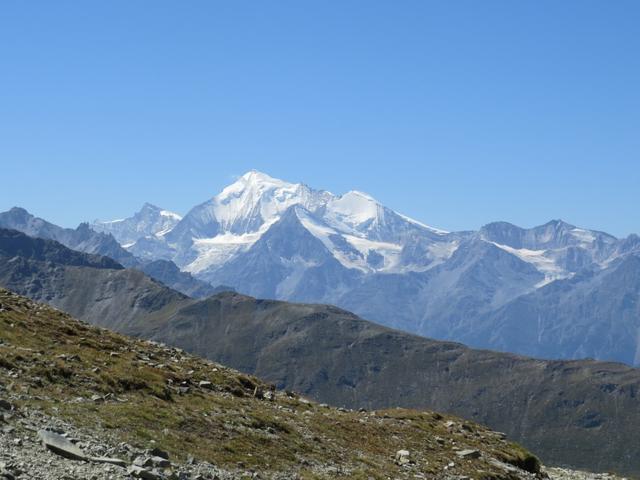 was für ein Anblick! Zinalrothorn, Weisshorn, Bishorn, Brunegghorn und die Barrhörner