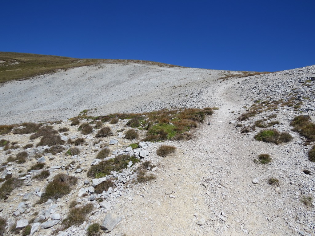 ... zeigt einem wo der einfache Bergweg zum Spitzhorli hinaufführt