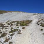 ... zeigt einem wo der einfache Bergweg zum Spitzhorli hinaufführt