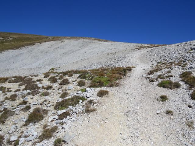 ... zeigt einem wo der einfache Bergweg zum Spitzhorli hinaufführt