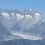 Blick zu den Wannenhörner und zum Grosser Aletschgletscher