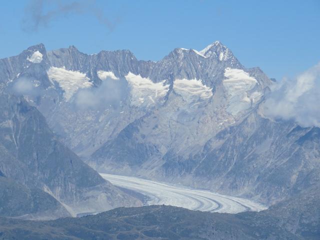 Blick zu den Wannenhörner und zum Grosser Aletschgletscher
