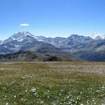 sehr schönes Breitbildfoto mit Blick auf die andere Seite, zu den Eisriesen der Walliser Alpen