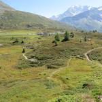 über ein Labyrinth von kleinen Wanderwegen, wandern wir über das geschützte Moorgebiet zum Parkplatz