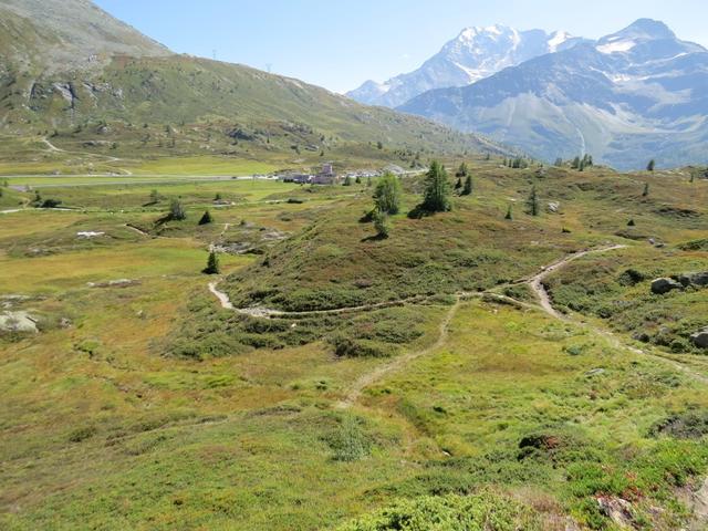 über ein Labyrinth von kleinen Wanderwegen, wandern wir über das geschützte Moorgebiet zum Parkplatz