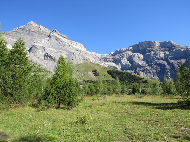 Blick hinauf zum Les Diablerets. Rechts davon gut ersichtlich der Quille du Diable den wir schon besucht haben