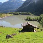 links von uns der Lac de Derborence. Wegen den starken Gewitter ist viel Sediment in den See geflossen