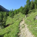 wir verlassen das Gasthaus am Lac de Derborence und begeben uns südwestwärts in den Taleinschnitt der La Derbonne