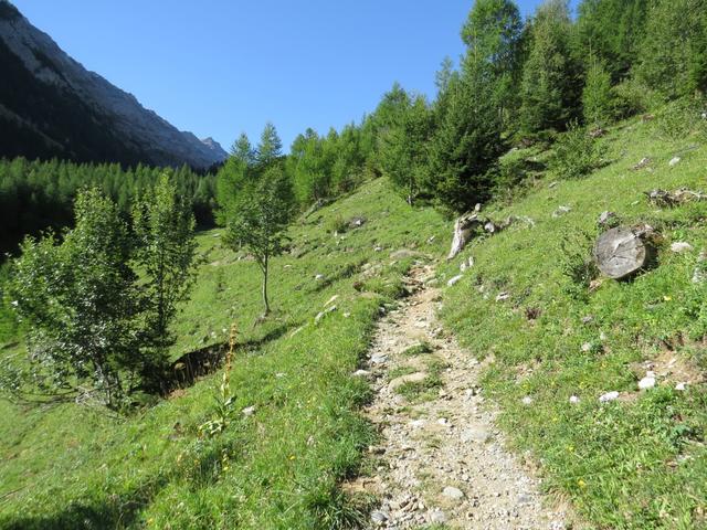 wir verlassen das Gasthaus am Lac de Derborence und begeben uns südwestwärts in den Taleinschnitt der La Derbonne