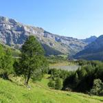 schönes Breitbildfoto mit Blick zum Lac Derborence. Bei Breitbildfotos nach dem anklicken, immer noch auf Vollgrösse klicken