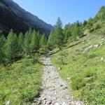 der bequem zu gehende und mässig steile Wanderweg, knickt bei Punkt 1589 m.ü.M...