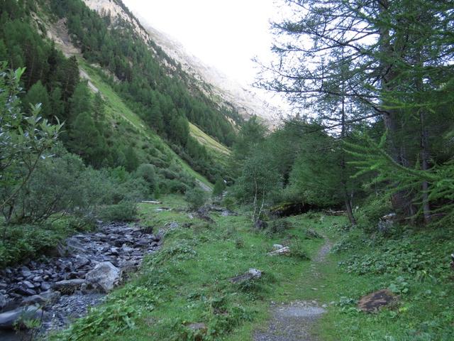 in unmittelbarer Nähe des Bachs wandern wir nun alles taleinwärts