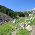 ...und wechseln in steileres Gelände