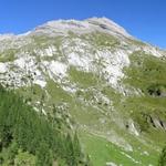 schönes Breitbildfoto mit Blick zur Tête Pegnat. Recht der Les Diablerets