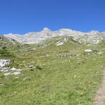 der Wanderweg führt nun eine linksschleife durch, und führt uns über Alpweiden zur Alp Chaux