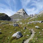 ...wandern wir über das kupierte Gelände von Les Plans du Foche vorbei 2222 m.ü.M.