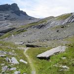 wir erreichen bei Pro Fleuri einen feuchten Boden in melancholisch karger Landschaft