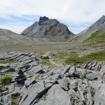 vor uns taucht der Dent de Chamosentse auf