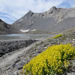 wir erreichen den Lac de La Forcla 2450 m.ü.M. mit seiner kleinen Staumauer