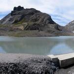 schönes Breitbildfoto vom Lac de La Forcla. Gut ersichtlich neben dem Dent de Chamosentse der Col de la Forcla