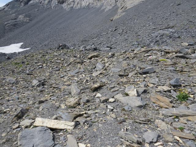 der neu angelegte Wanderweg führt einem auf der rechten Talseite aufwärts