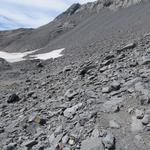 der in den Wanderkarten eingezeichnete kleine Glacier de la Forcla ist nicht mehr vorhanden,...