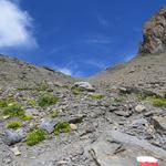 Blick hinauf zum Col de la Forcla