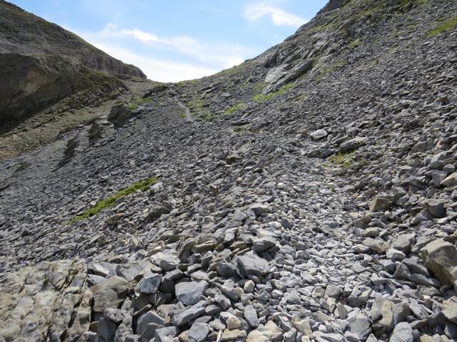 die grüne Umgebung verschwindet wieder, und wir wandern nun wieder über eine Steinlandschaft