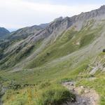 der Wanderweg dreht nun nach rechts ab. Gut ersichtlich der vom Six Noir herunterziehenden Grat, den wir überschreiten werden