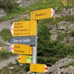 Weggabelung oberhalb von Punkt 1926 m.ü.M. Wir laufen geradeaus weiter Richtung Col de Fenestral