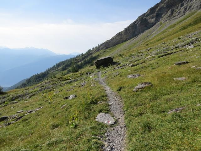 hier beginnt ein neu erstellter Höhenweg, der ohne Höhenverlust zur Bergstation des Sessellifts Ovronnaz-Bougnone führt