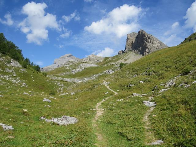 der immer gut ersichtliche und markierte Wanderweg...