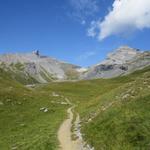 der Wanderweg zieht nun in ein weiteres typisch Waadtländer Alpen Hochtal hinein