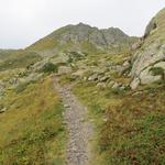 ohne besondere Schwierigkeiten geht es nun über die mit Steinen und Felsen 2236 m.ü.M durchsetzte Flanke des Col du Demècre