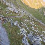 der zuerst ganz harmlose und sanfte Abstieg vom Col du Demècre führt uns westseitig über eine ausgeprägte Kehre 2323 m.ü.M.