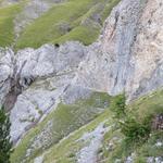 Blick nach vorne zur nächsten Rinne bei Punkt 2146 m.ü.M. der Wegverlauf ist gut ersichtlich