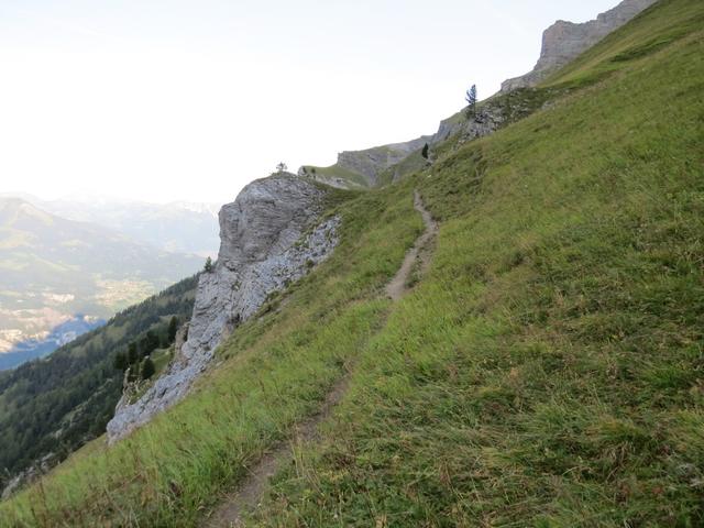 der schmale und zum Teil sehr ausgesetzte Bergweg führt durch stark geneigte Grasbänder...