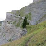 die Durchquerung der Südwestflanke der Dents de Morcles sollte man nur durchführen, wenn man absolut schwindelfrei ist