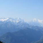 Blick zum Glacier du Trient mit seinen Aiguilles, Grandes Jorasses und Mont Blanc Massiv. Was für eine Aussicht!