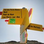 kurz unterhalb des Col des Perris Blancs, erreichen wir eine Weggabelung. Rechts geht es zum Pointe des Martinets